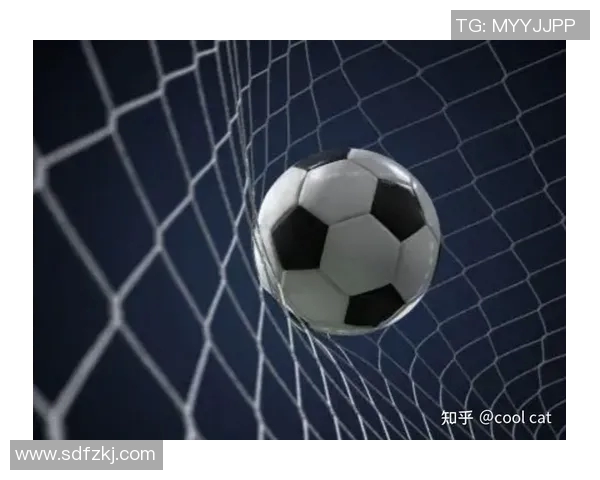 武汉网球队进攻战术解析与未来发展展望