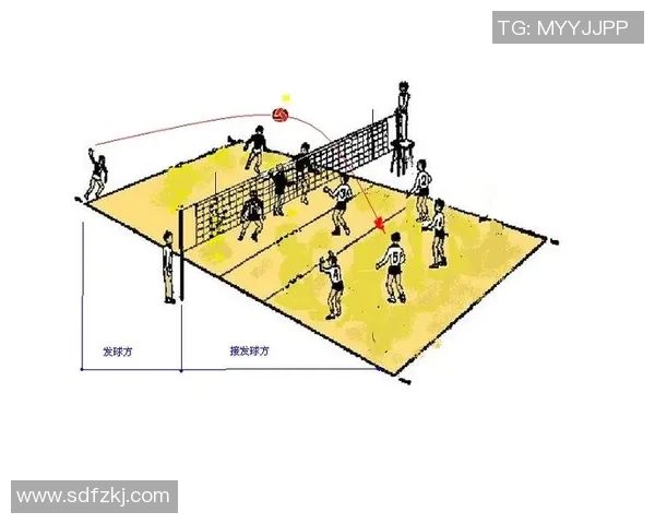 深圳排球队区域防守策略解析与深度剖析排球战术的奥秘