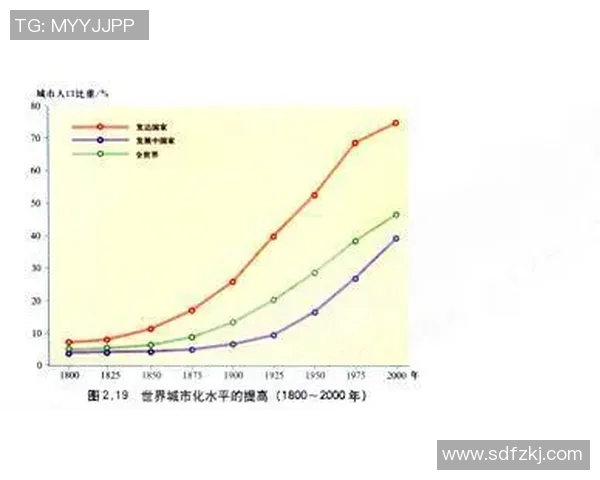 赛后分析：上海排球队与西安排球队战术灵活性对比探讨