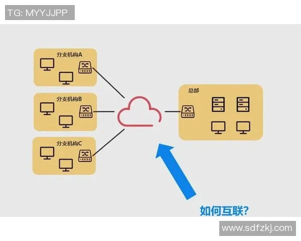 西安篮球队的独特节奏解析与战术深度探讨