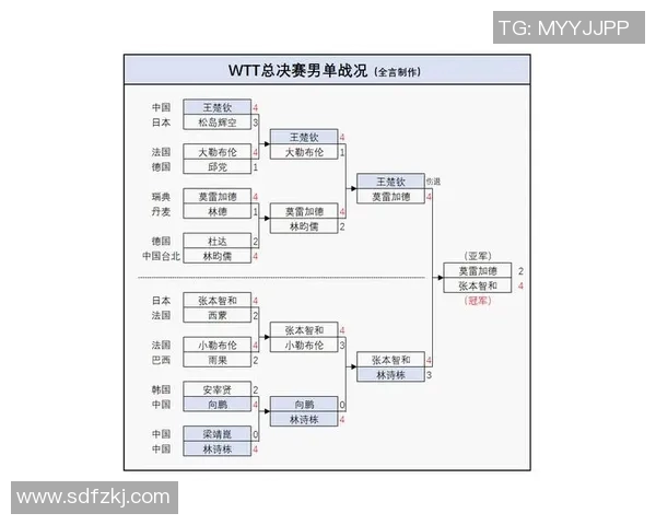 南京乒乓球队在世界杯预选赛中的状态分析与表现评估