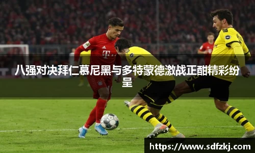 bwin必赢国际